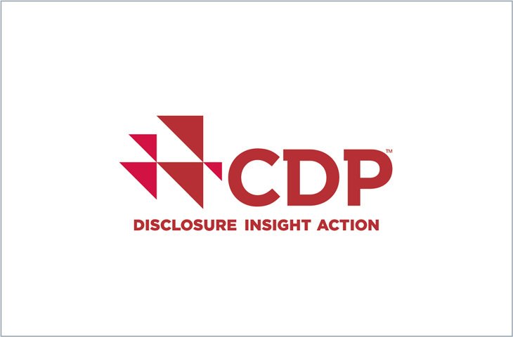 CDP logo representing brand identity and services